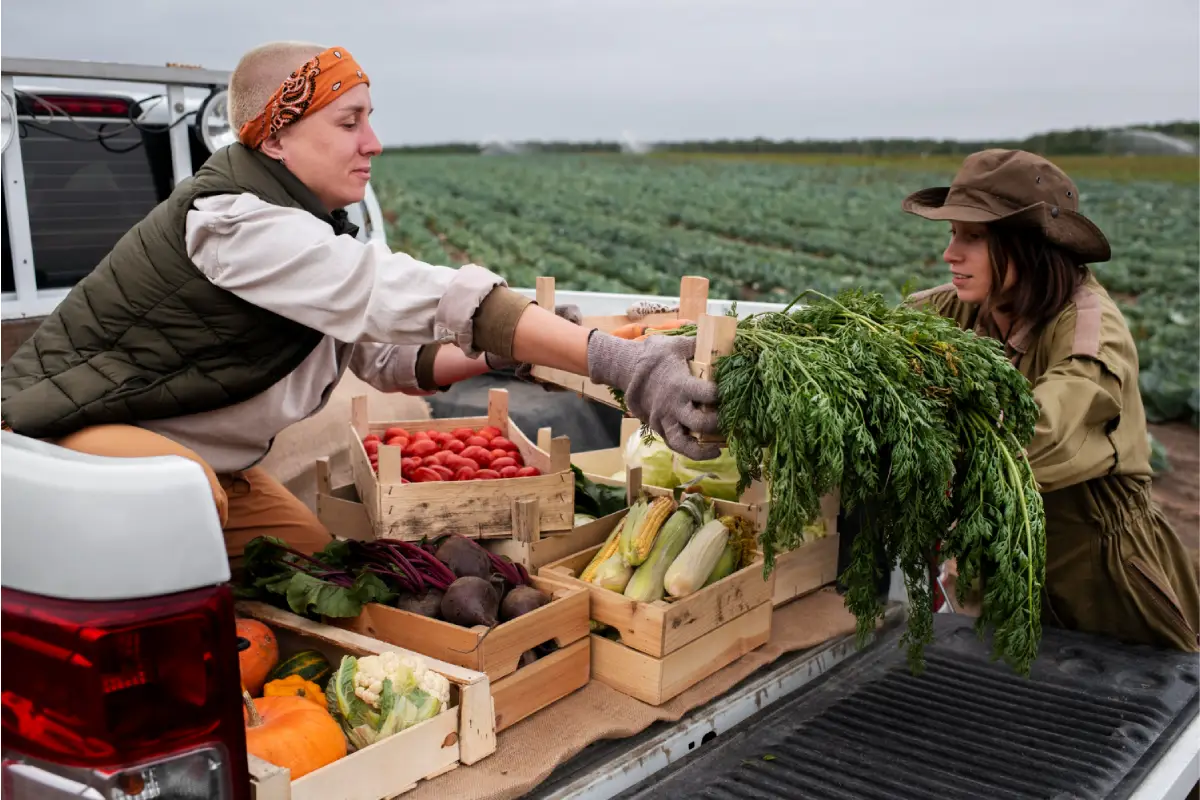 Cox Farms Partners with Feeding America® to Tackle Food Insecurity for Millions