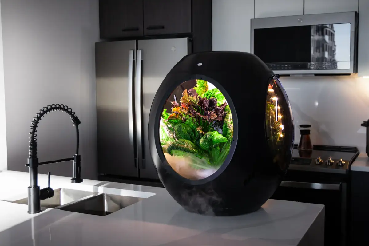 Plantaform launches smart indoor gardens in the US at CES 2025