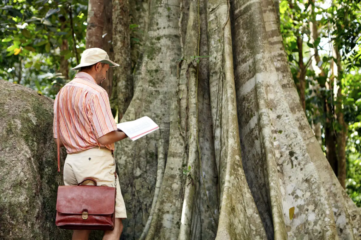 New Sustainable Tourism Initiative Launches in Cozumel