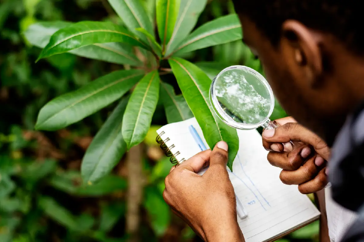 Agriculture Biotech Market Growth Predicted with ChemChina, Bayer AG, Corteva, Nufarm